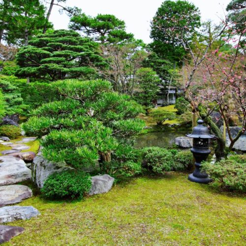 Ogród w stylu japońskim – jak stworzyć harmonijną przestrzeń?