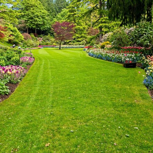 Ogród francuski – jak stworzyć elegancką przestrzeń?